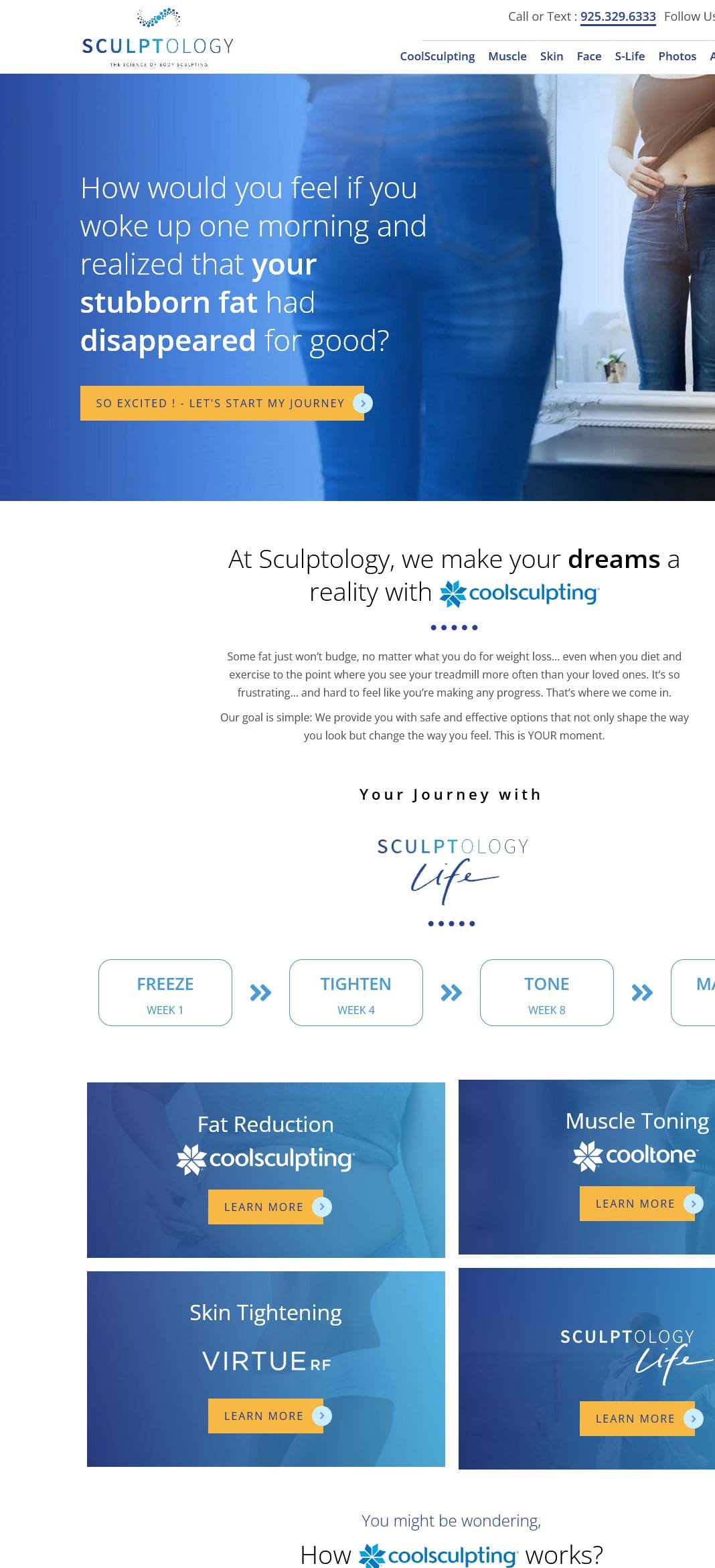 Wordpress Plugins 6 sculptology